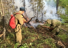 На Среднем Урале ужесточат наказание за лесные пожары