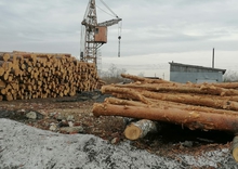 Проверки лесоперерабатывающих предприятий стартовали в Свердловской области