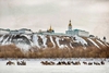 Фильм о последних Романовых выходит в российский прокат Фильм о последних Романовых выходит в российский прокат